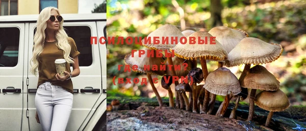 соль ск Пенза